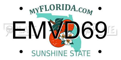 EMVD69 Florida License Plate
