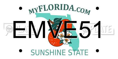 EMVE51 Florida License Plate