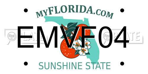 EMVF04 Florida License Plate