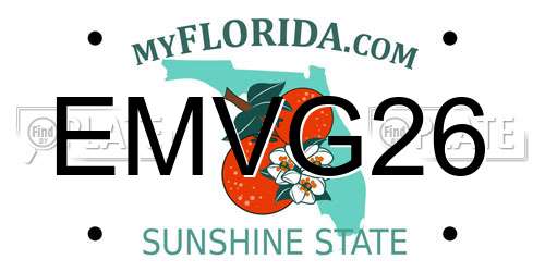 EMVG26 Florida License Plate