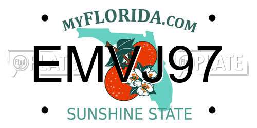 EMVJ97 Florida License Plate