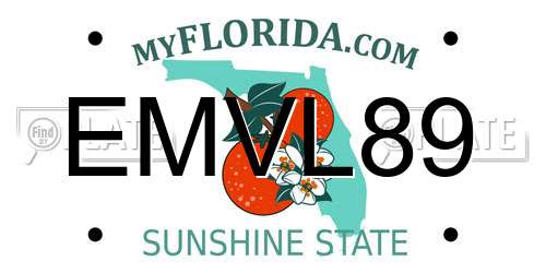 EMVL89 Florida License Plate