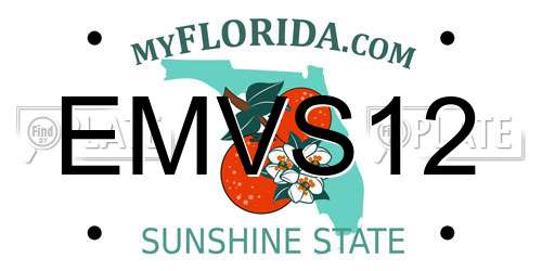 EMVS12 Florida License Plate