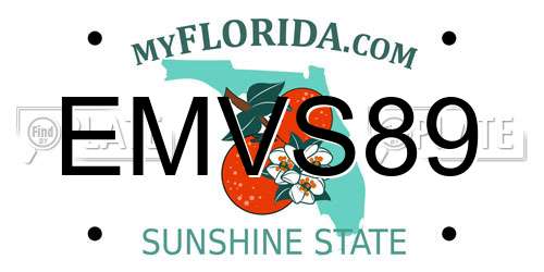 EMVS89 Florida License Plate