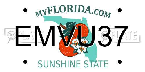 EMVU37 Florida License Plate