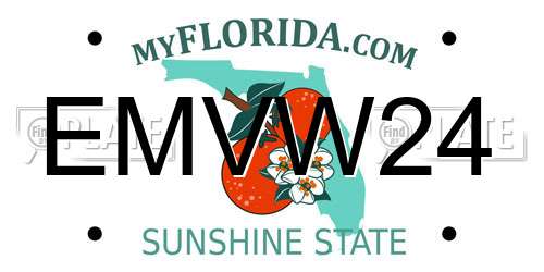 EMVW24 Florida License Plate