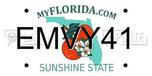 EMVY41 Florida License Plate