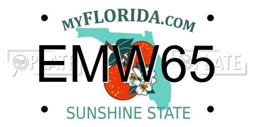 EMW65 Florida License Plate
