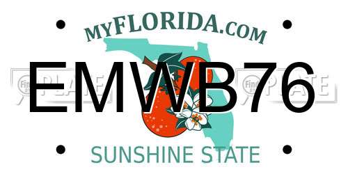 EMWB76 Florida License Plate