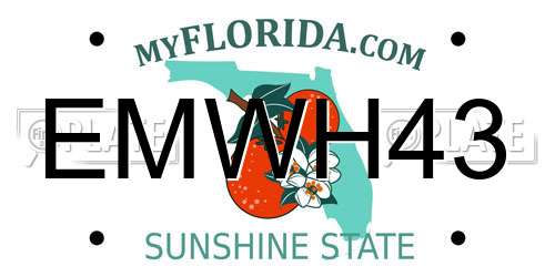 EMWH43 Florida License Plate