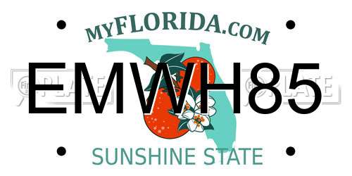 EMWH85 Florida License Plate