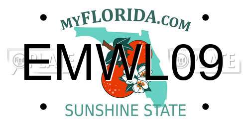 EMWL09 Florida License Plate