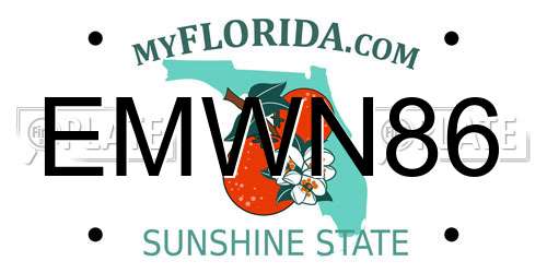 EMWN86 Florida License Plate