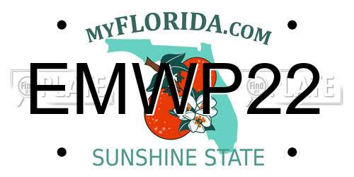 EMWP22 Florida License Plate