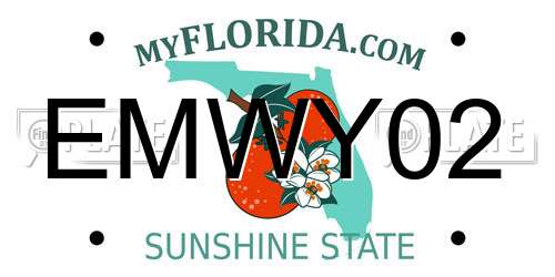 EMWY02 Florida License Plate