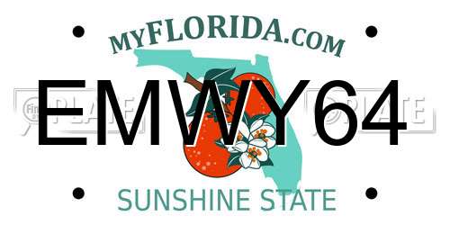 EMWY64 Florida License Plate