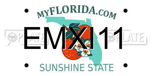EMXI11 Florida License Plate