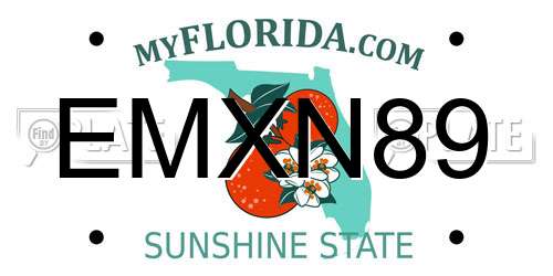 EMXN89 Florida License Plate