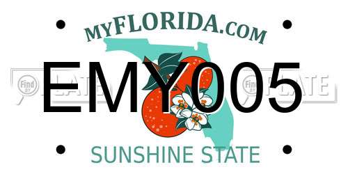 EMY005 Florida License Plate