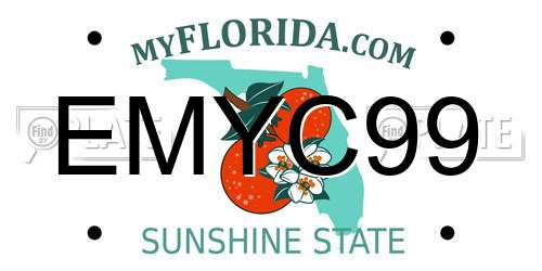 EMYC99 Florida License Plate