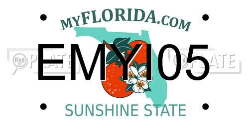EMYI05 Florida License Plate
