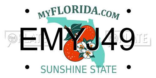 EMYJ49 Florida License Plate
