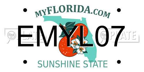 EMYL07 Florida License Plate