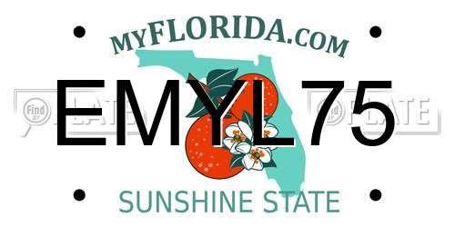 EMYL75 Florida License Plate