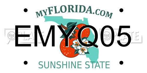 EMYQ05 Florida License Plate