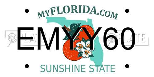 EMYY60 Florida License Plate