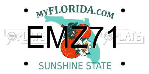 EMZ71 Florida License Plate