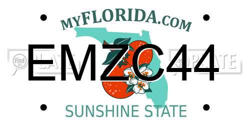 EMZC44 Florida License Plate
