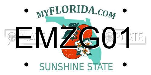 EMZG01 Florida License Plate