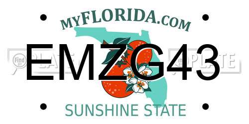 EMZG43 Florida License Plate