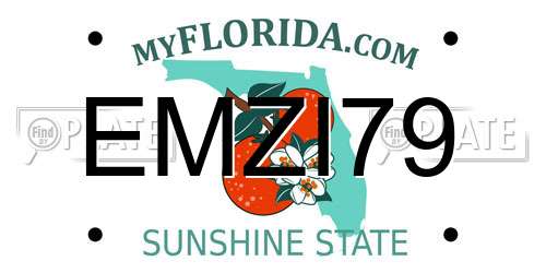 EMZI79 Florida License Plate