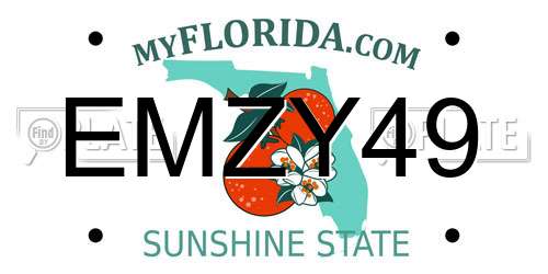 EMZY49 Florida License Plate
