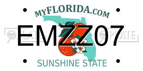 EMZZ07 Florida License Plate