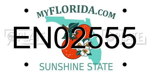 EN02555 Florida License Plate