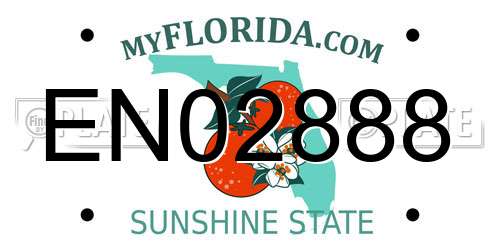 EN02888 Florida License Plate