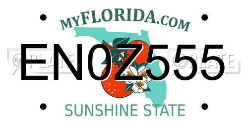EN0Z555 Florida License Plate