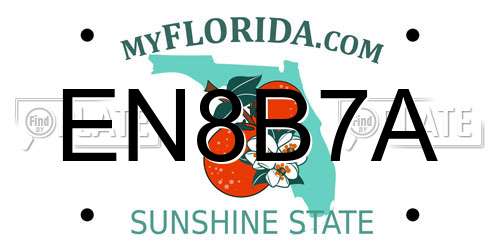 EN8B7A Florida License Plate