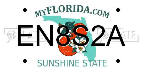 EN8S2A Florida License Plate