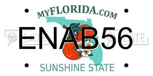 ENAB56 Florida License Plate