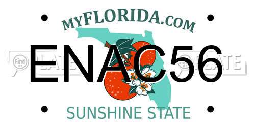 ENAC56 Florida License Plate