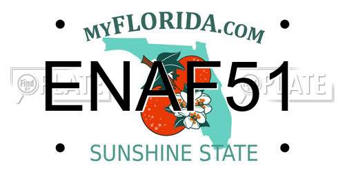 ENAF51 Florida License Plate