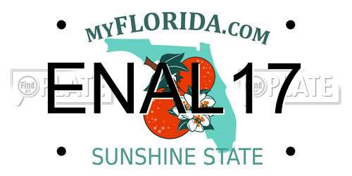 ENAL17 Florida License Plate