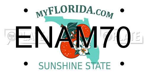 ENAM70 Florida License Plate