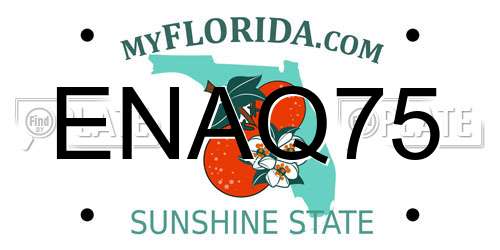 ENAQ75 Florida License Plate