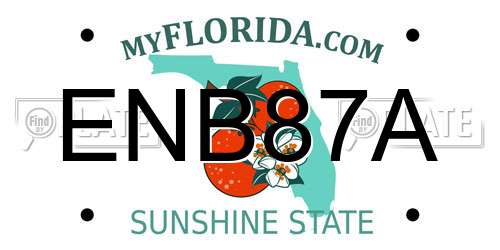 ENB87A Florida License Plate