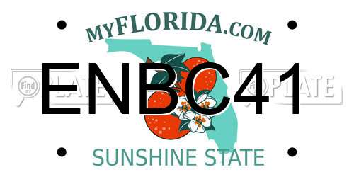 ENBC41 Florida License Plate